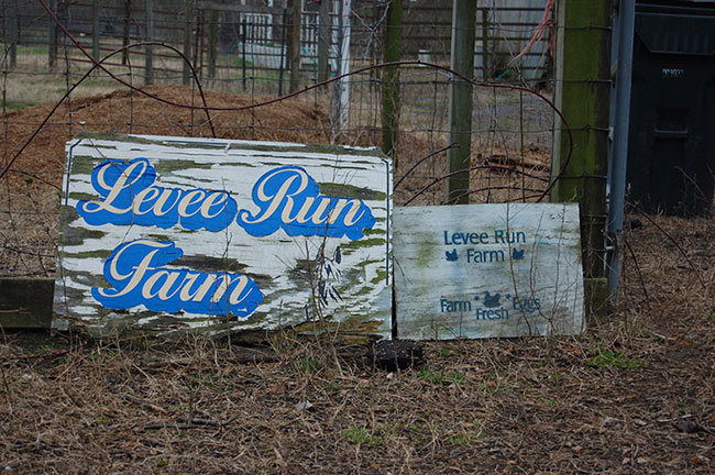 Levee Run Poultry Farm
